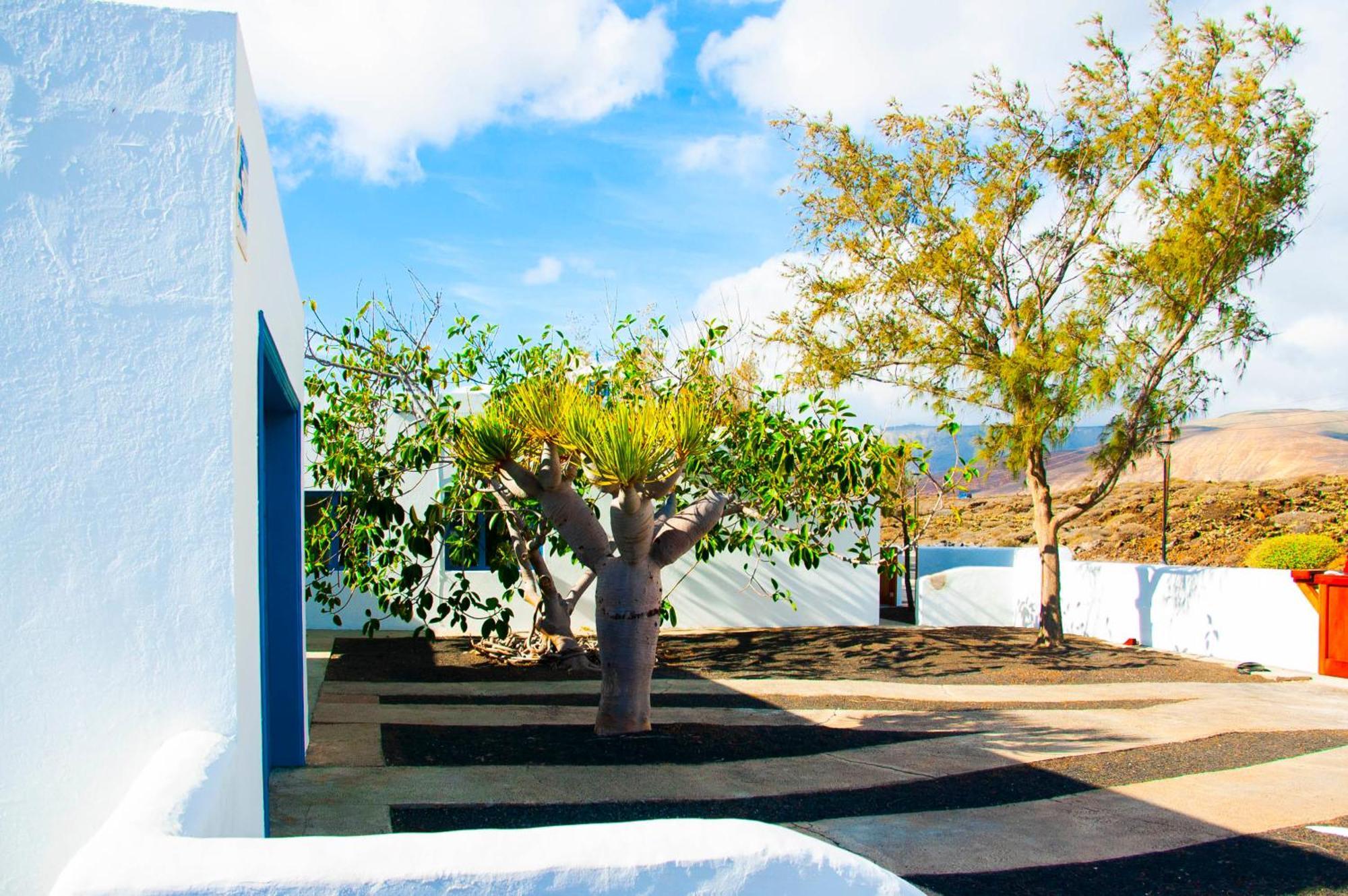Villa Fedora By Bevacacional Haría Esterno foto